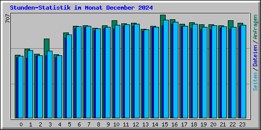 Stunden-Statistik im Monat December 2024